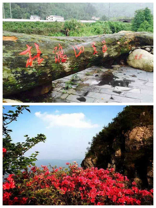 杜鹃山拼图.jpg 杜鹃山拼图.jpg