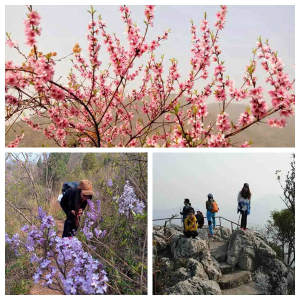 光影魔术手拼图.jpg 光影魔术手拼图.jpg