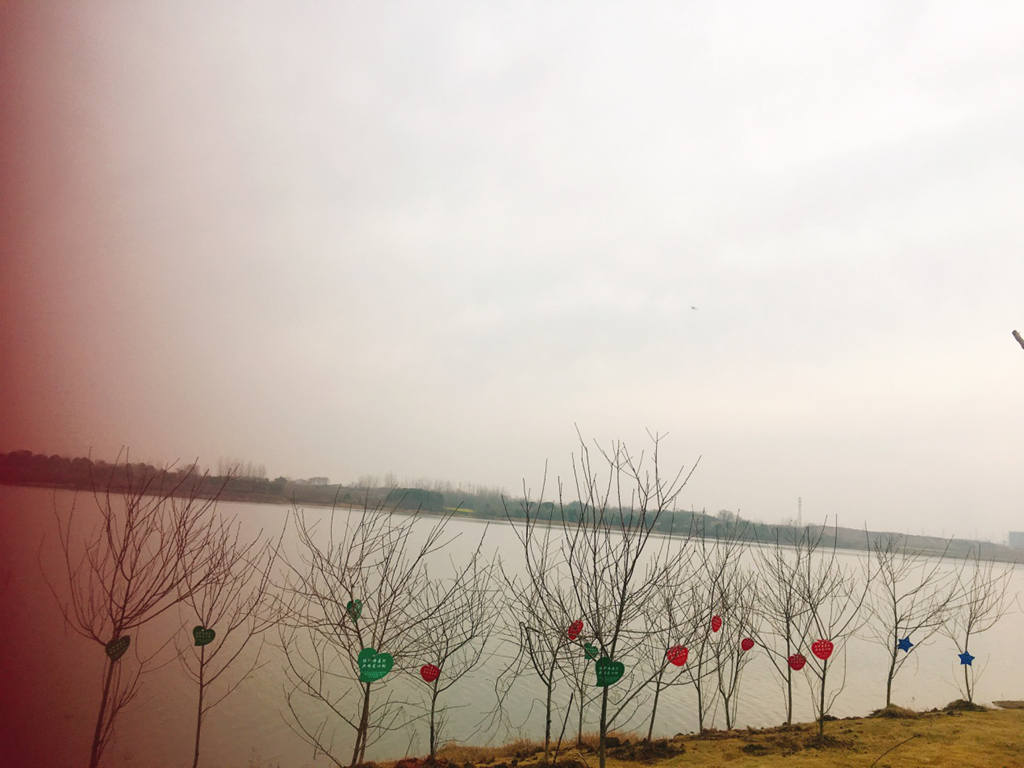 图片10_副本.jpg 图片10_副本.jpg